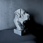 Cane Corso (Natural Ear) Bust