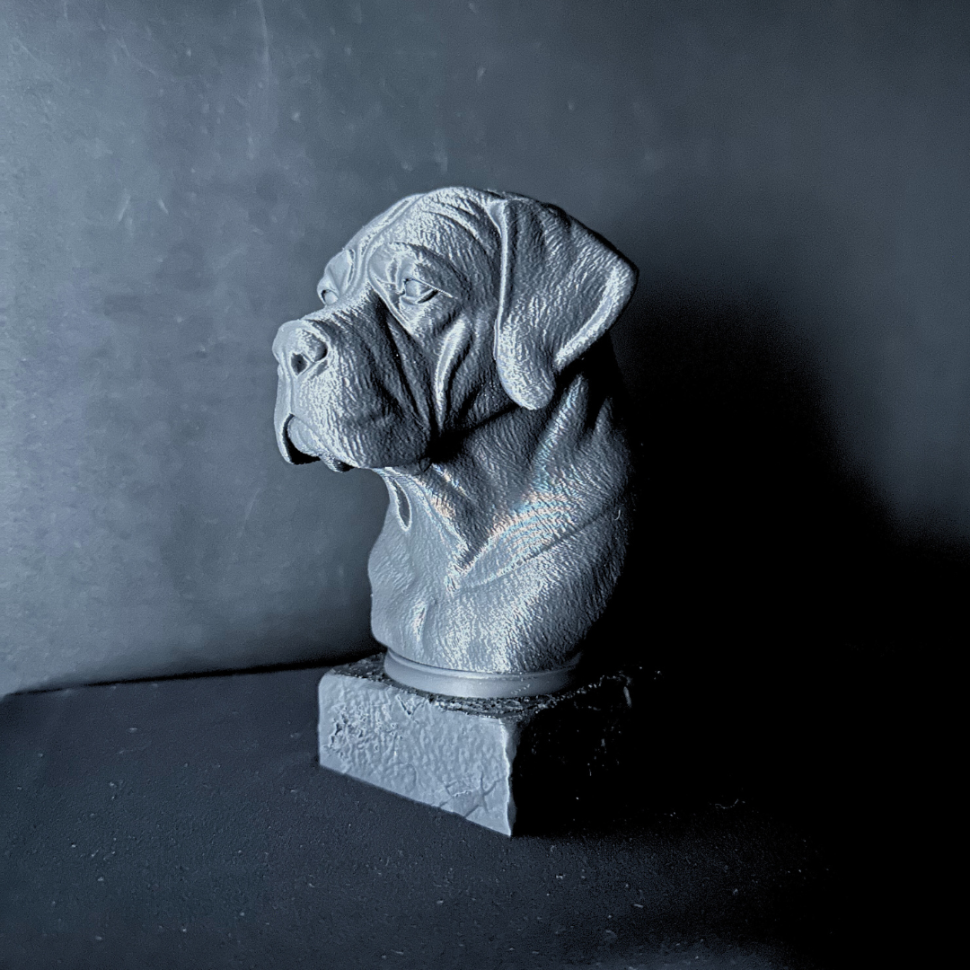 Cane Corso (Natural Ear) Bust