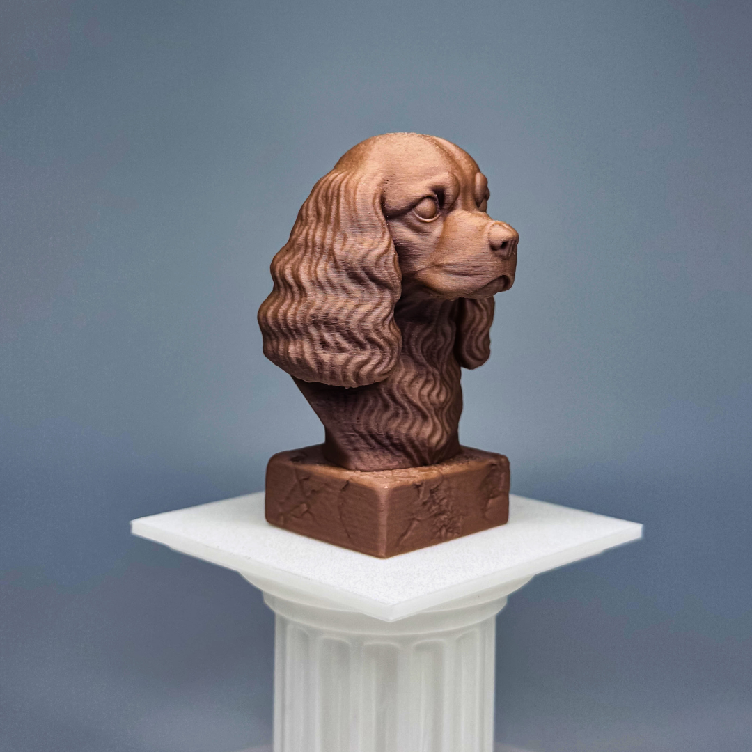 Cavalier King Charles Spaniel Bust