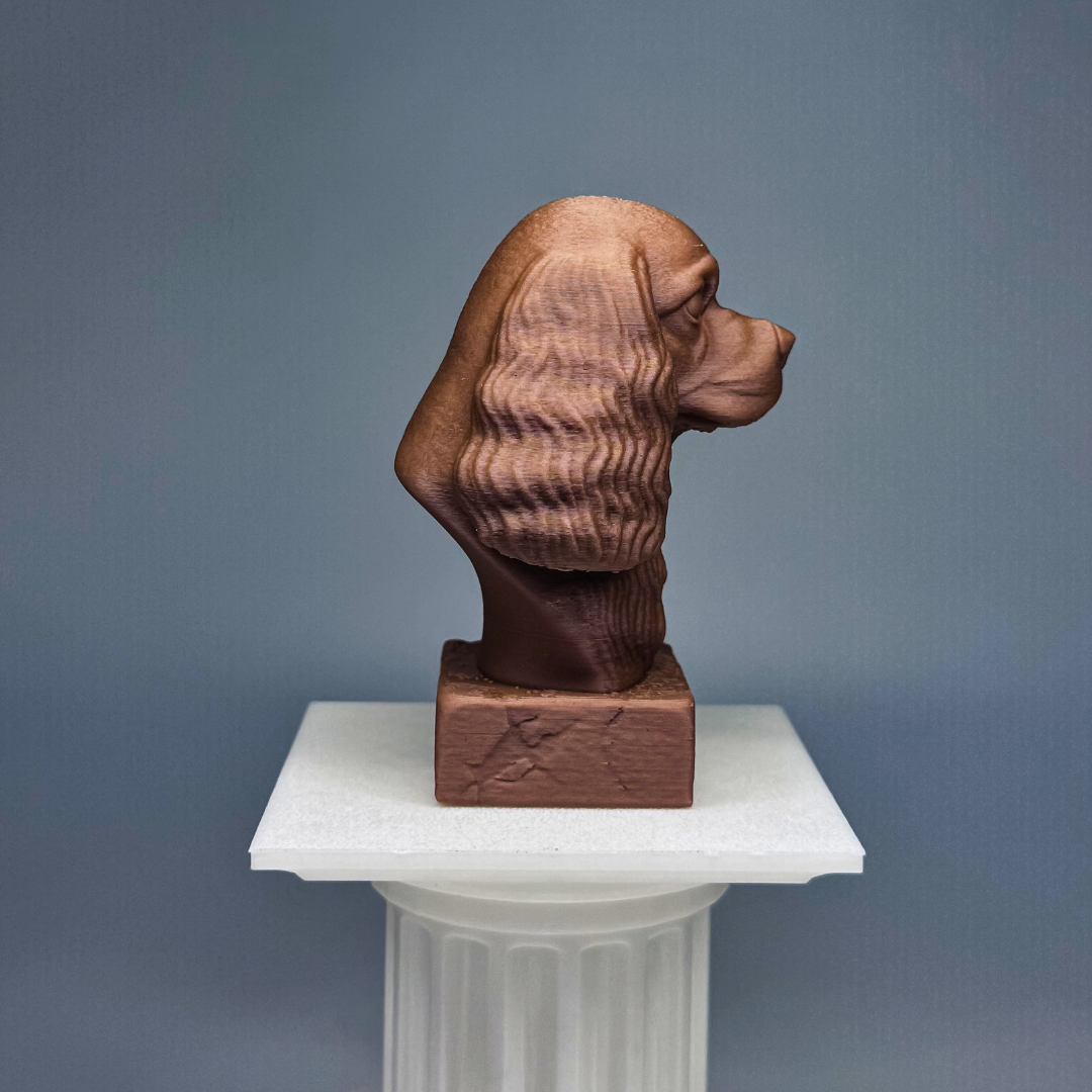 Cavalier King Charles Spaniel Bust