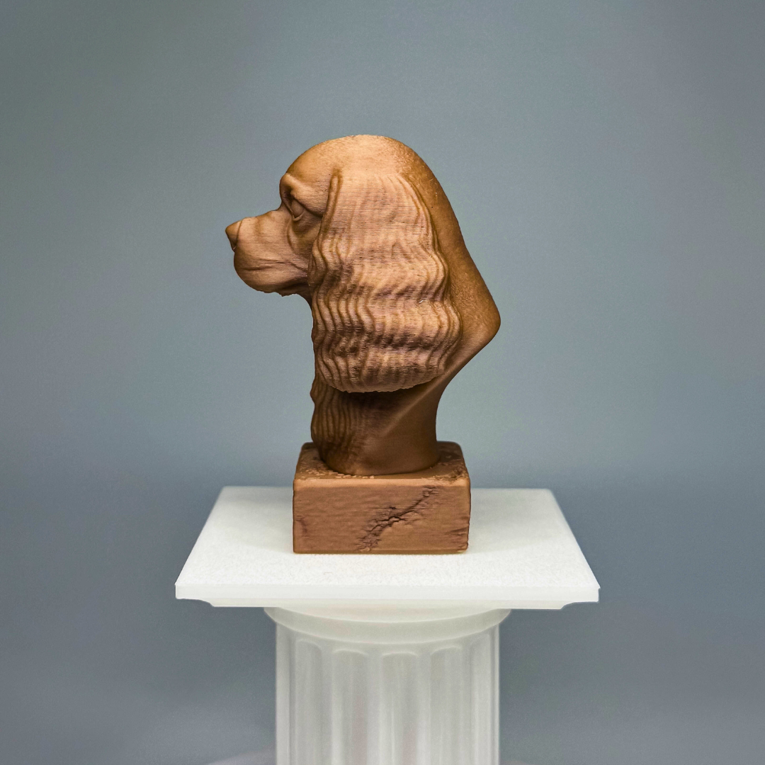 Cavalier King Charles Spaniel Bust