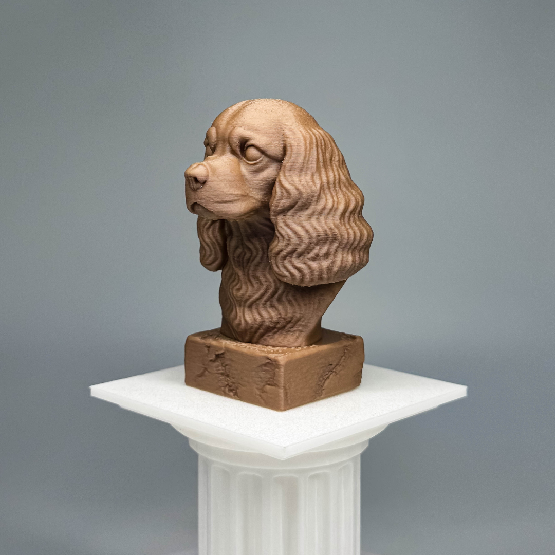 Cavalier King Charles Spaniel Bust