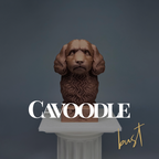 Cavoodle Bust