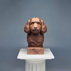 Cavoodle Bust