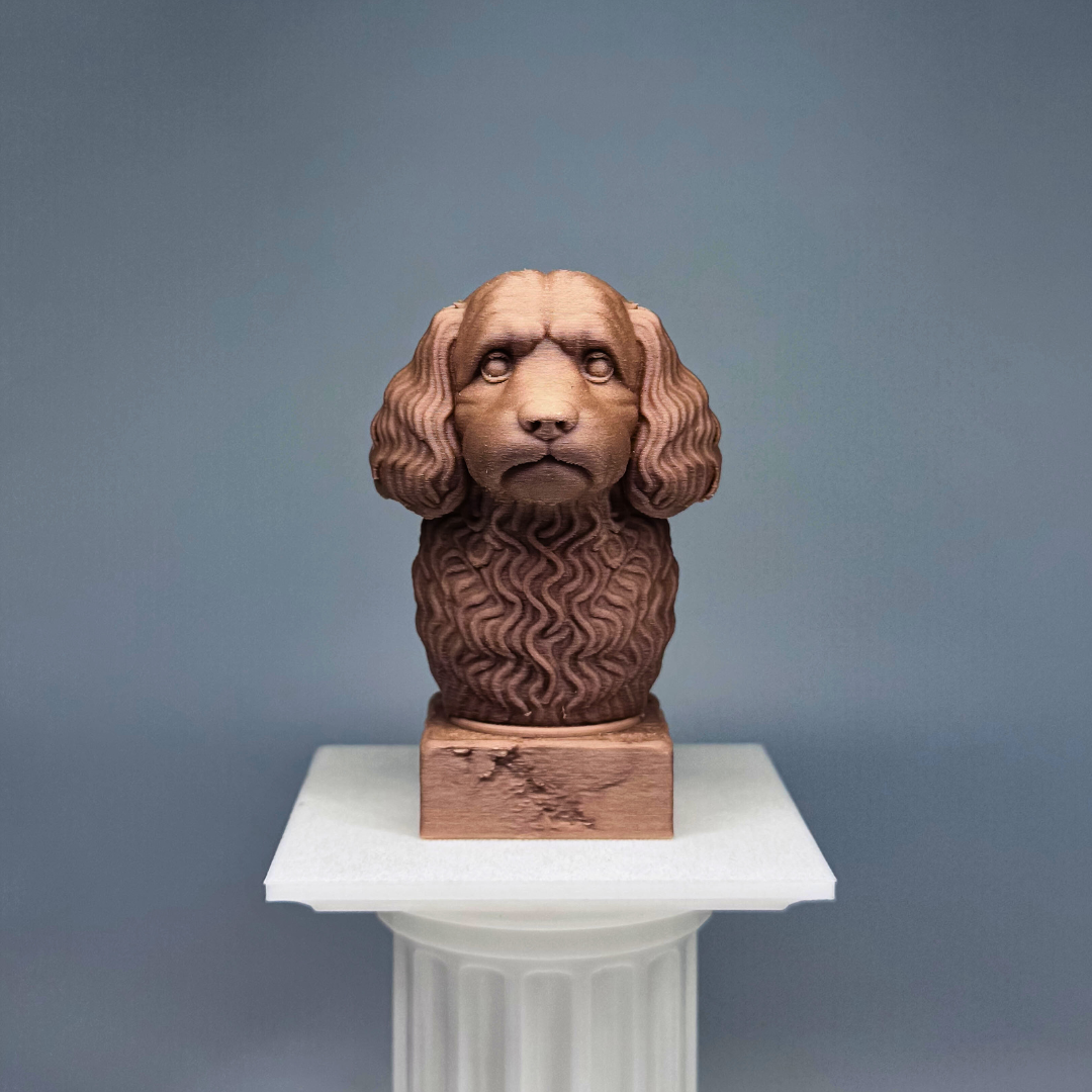 Cavoodle Bust