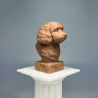 Cavoodle Bust