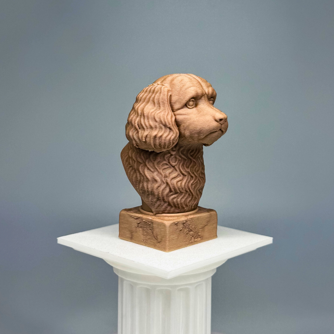 Cavoodle Bust