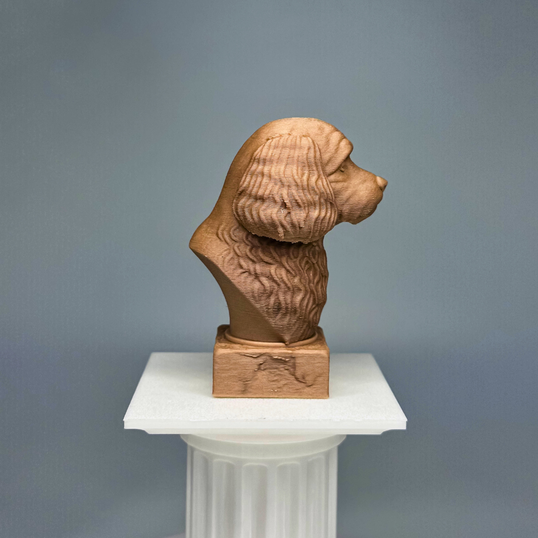 Cavoodle Bust