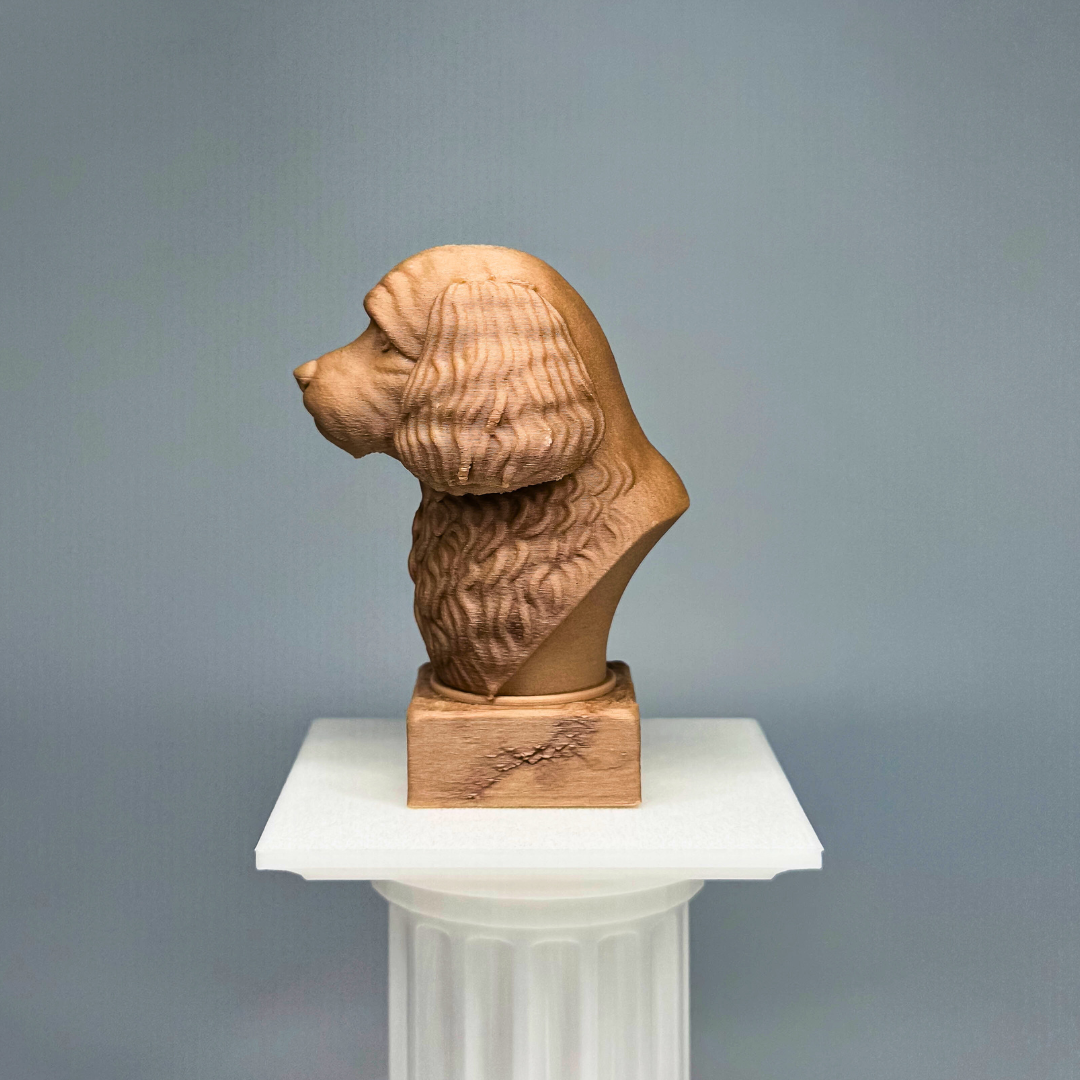 Cavoodle Bust
