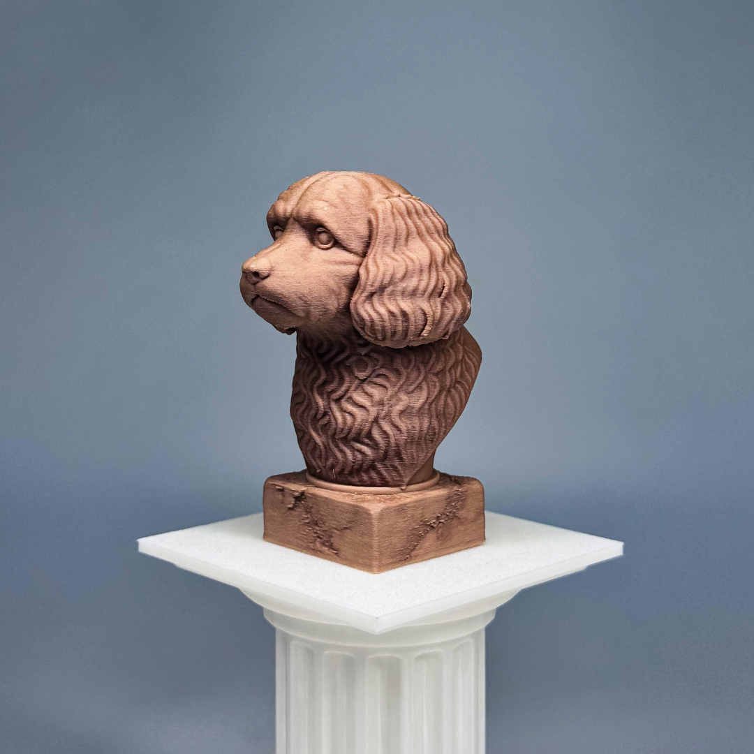 Cavoodle Bust