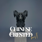 Chinese Crested Bust