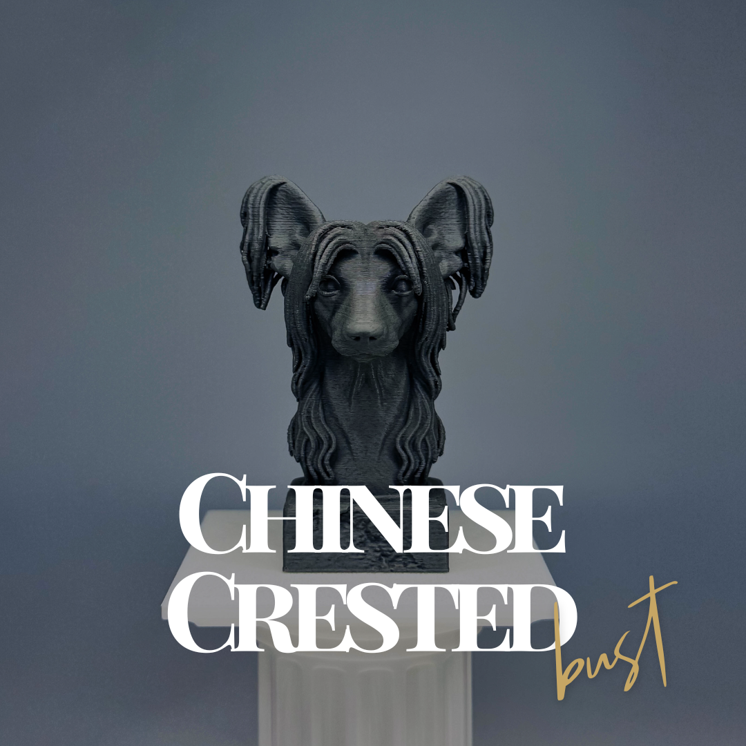 Chinese Crested Bust