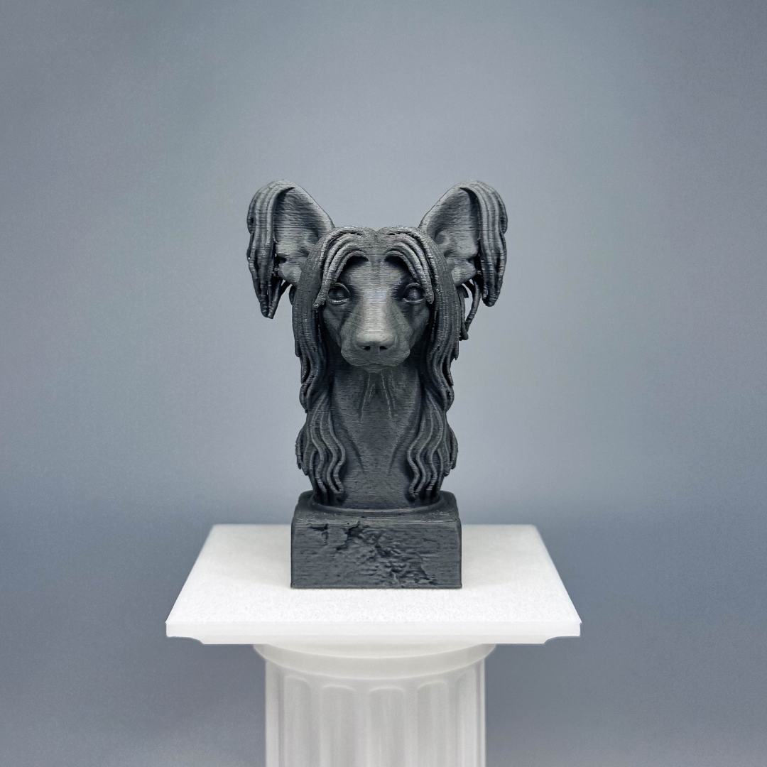 Chinese Crested Bust