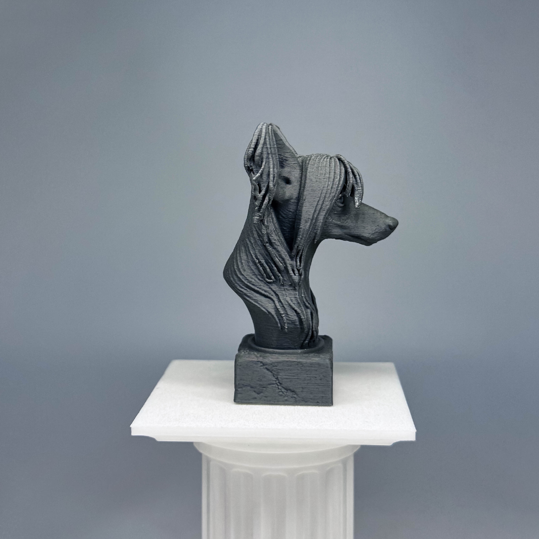 Chinese Crested Bust