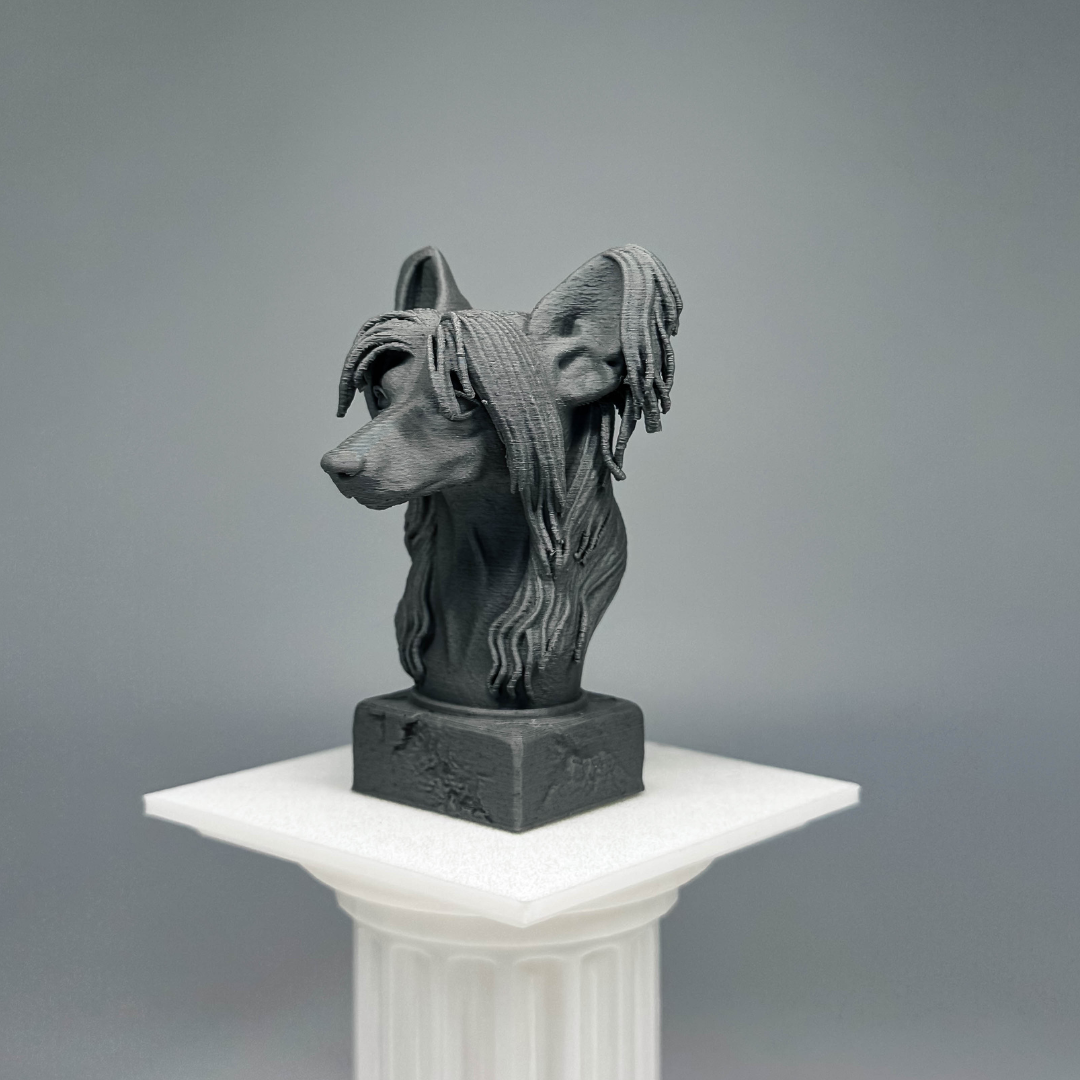 Chinese Crested Bust