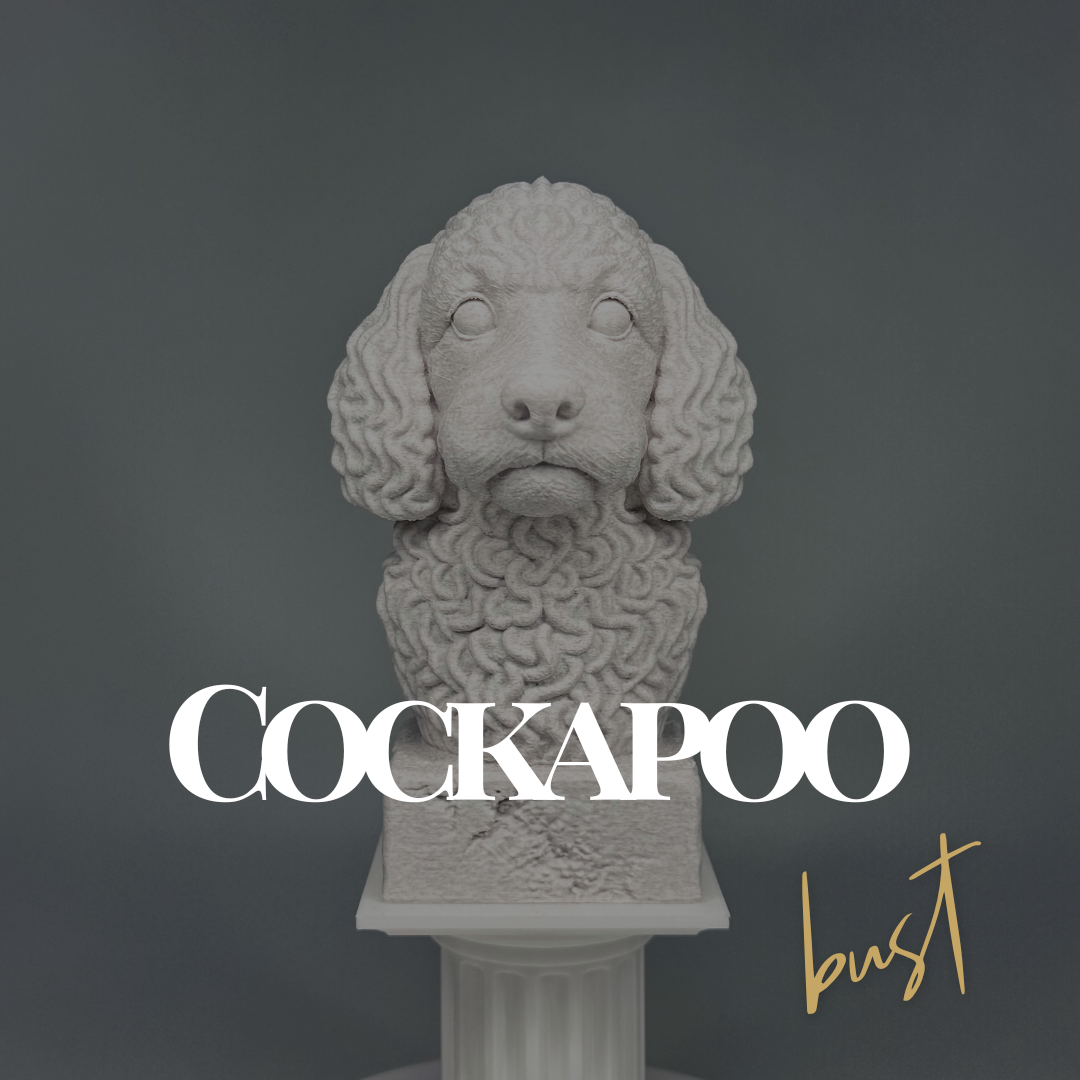 Cockapoo Bust