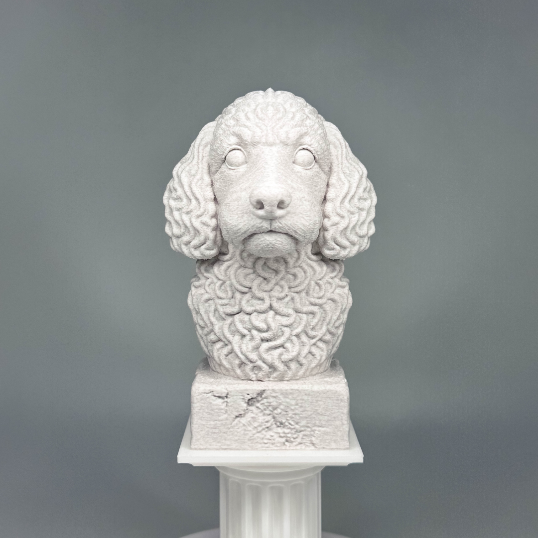 Cockapoo Bust