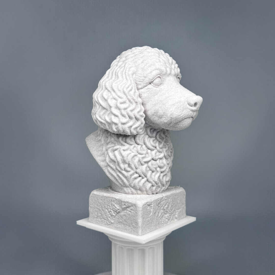 Cockapoo Bust