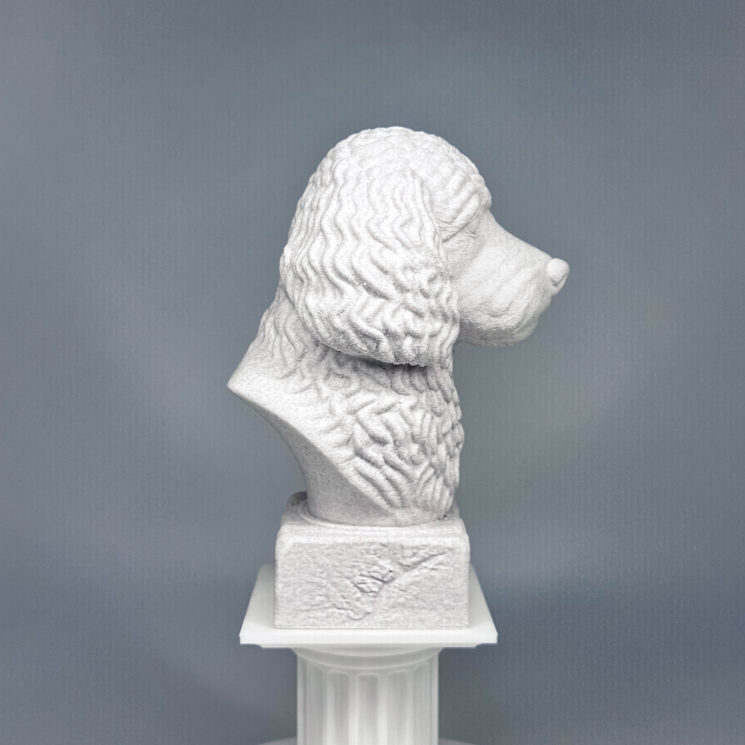 Cockapoo Bust