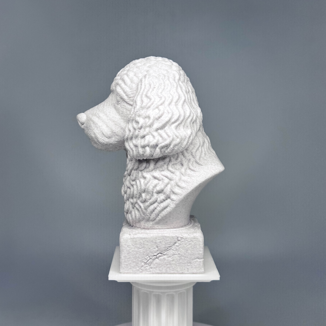Cockapoo Bust