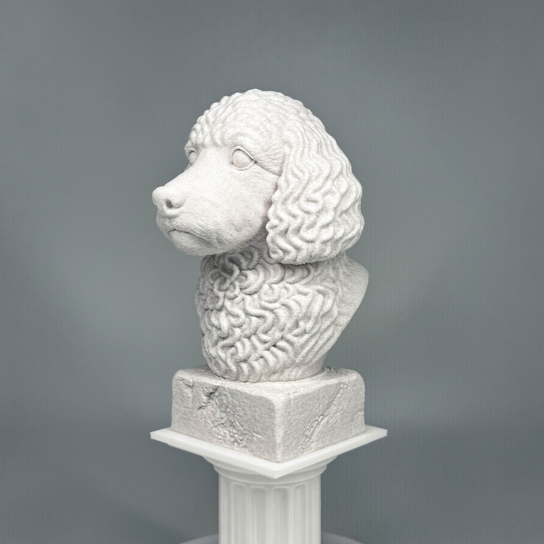 Cockapoo Bust