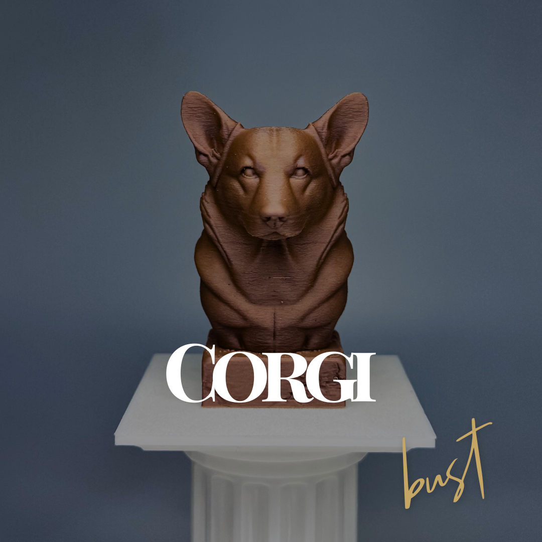 Corgi Bust