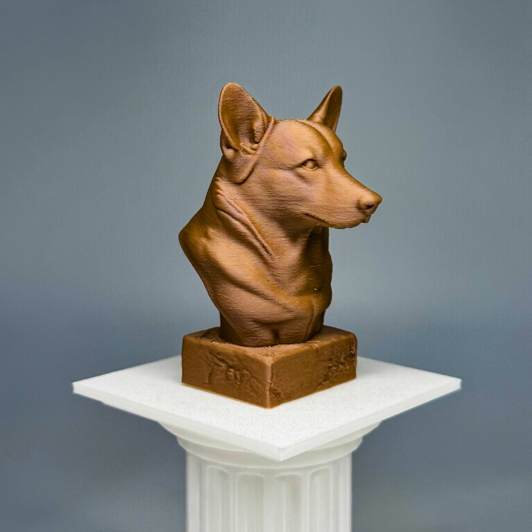 Corgi Bust
