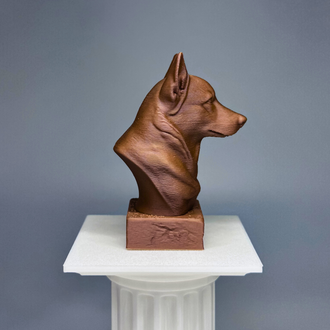 Corgi Bust