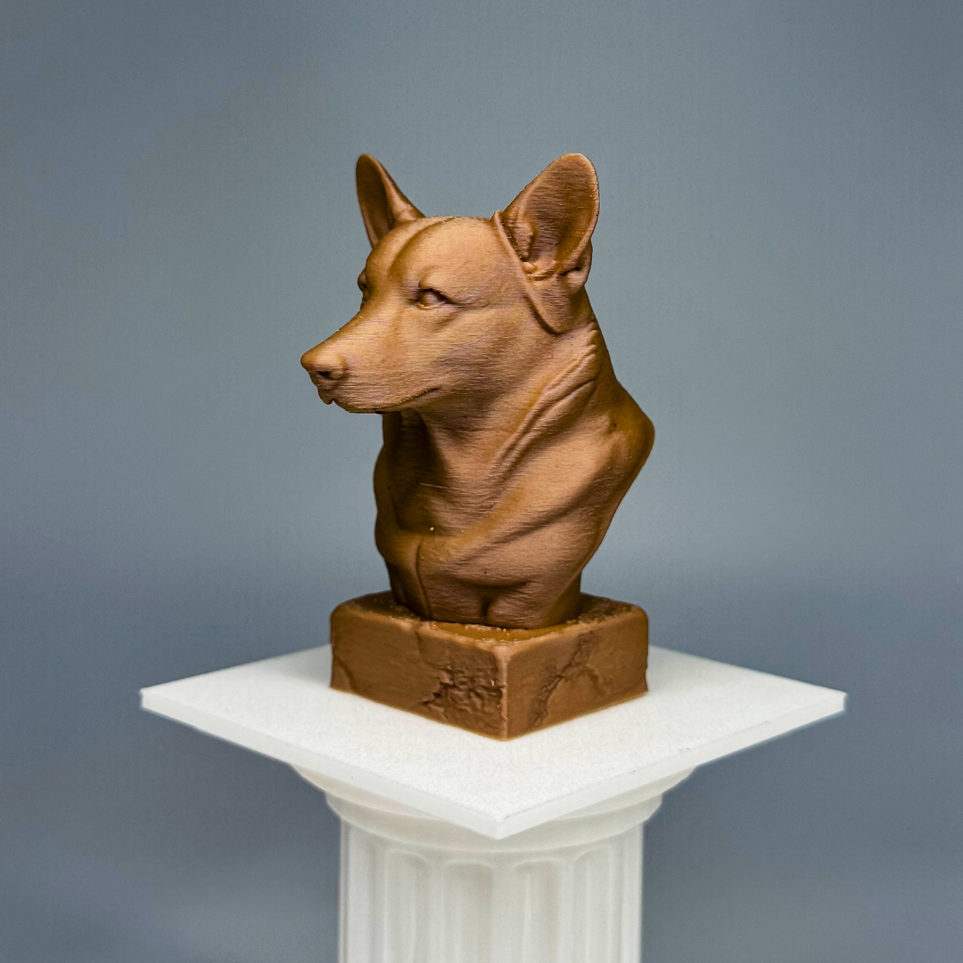 Corgi Bust