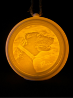 Custom Christmas Lithophane Ornament (2025)