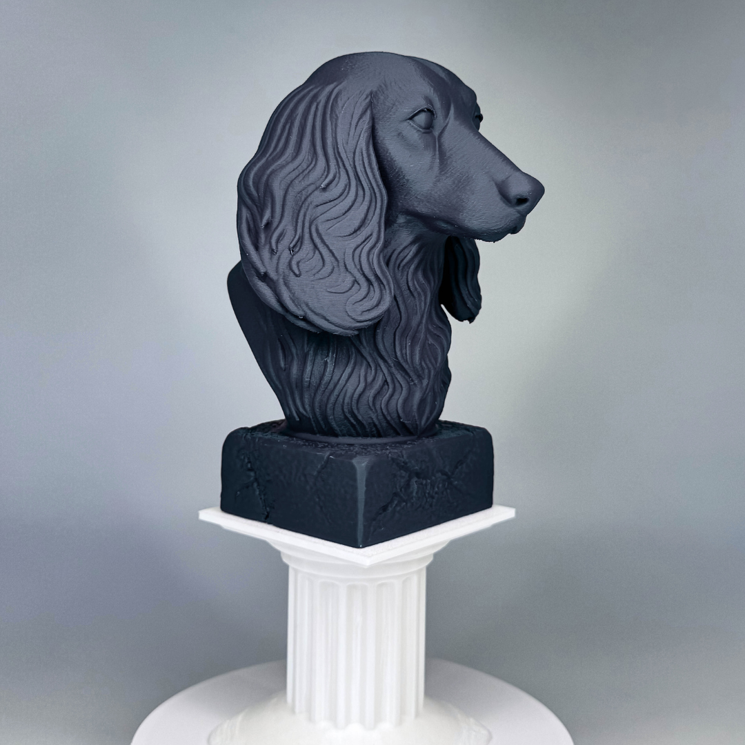Dachshund Long Haired Bust