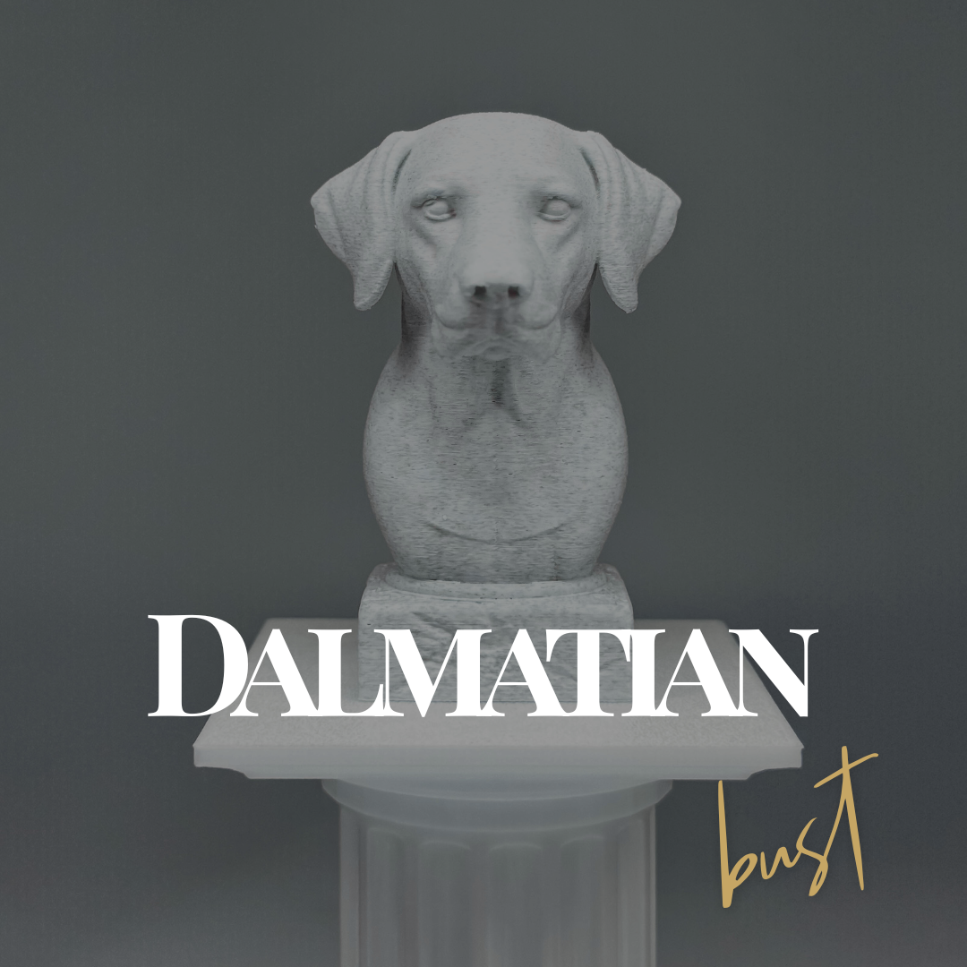 Dalmatian Bust