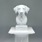 Dalmatian Bust