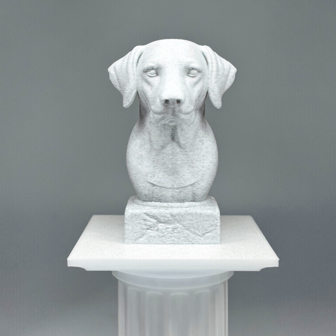 Dalmatian Bust