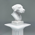 Dalmatian Bust