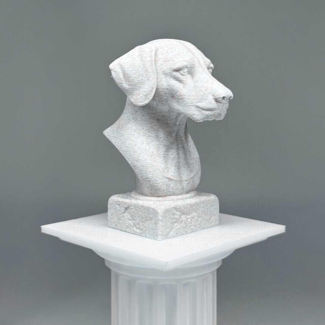 Dalmatian Bust
