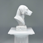Dalmatian Bust