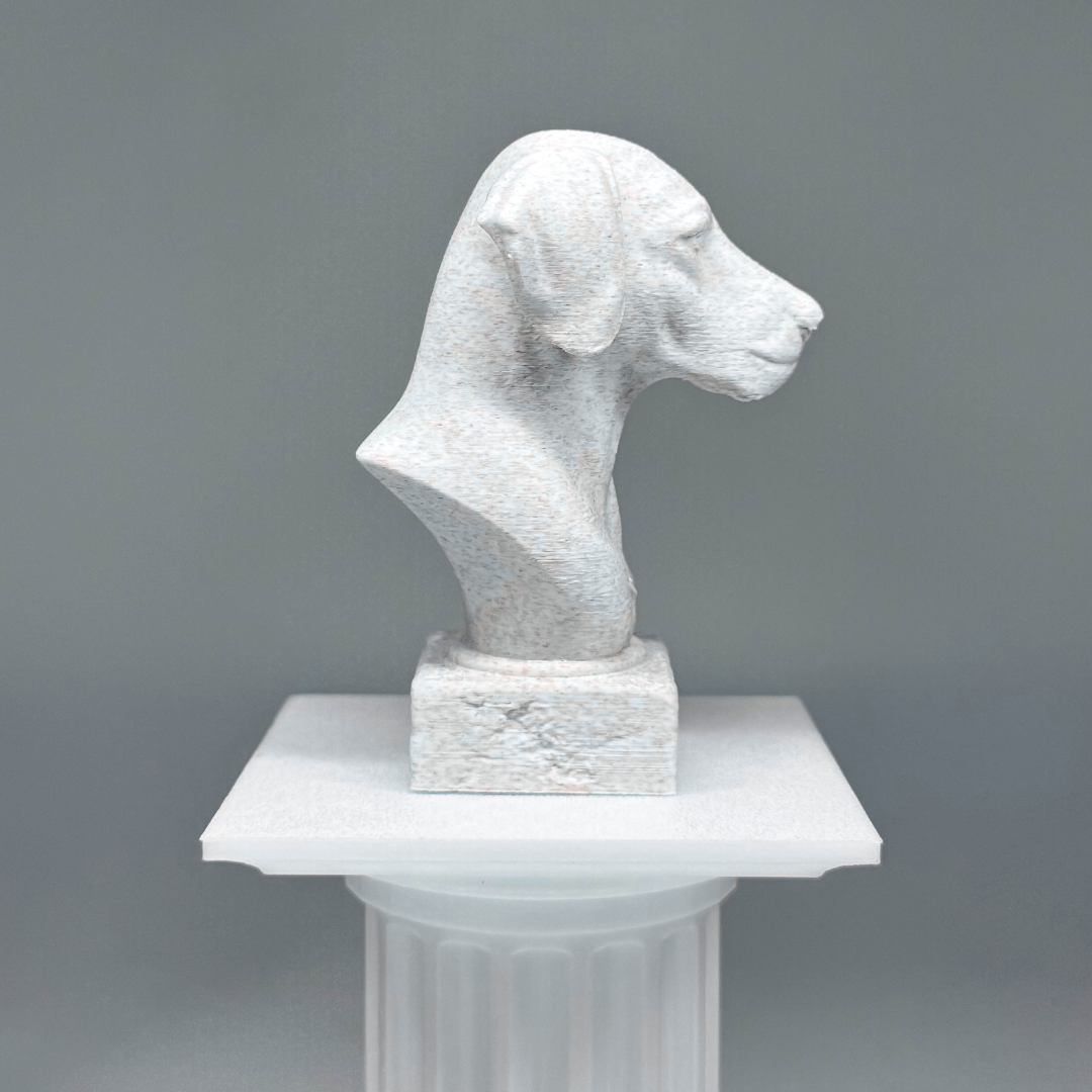 Dalmatian Bust