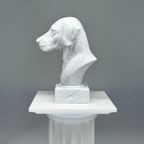 Dalmatian Bust