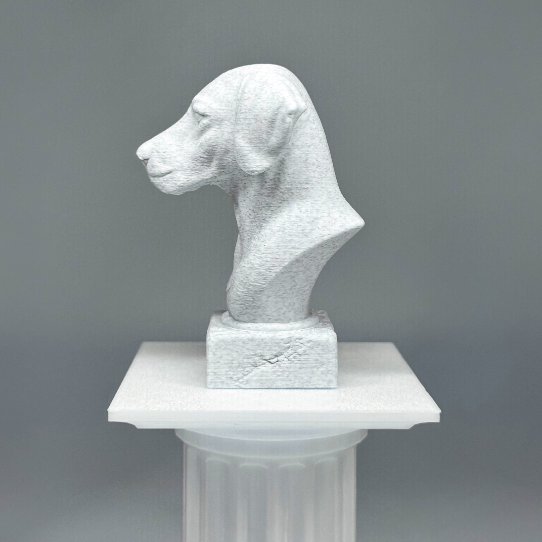 Dalmatian Bust