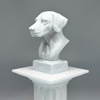 Dalmatian Bust