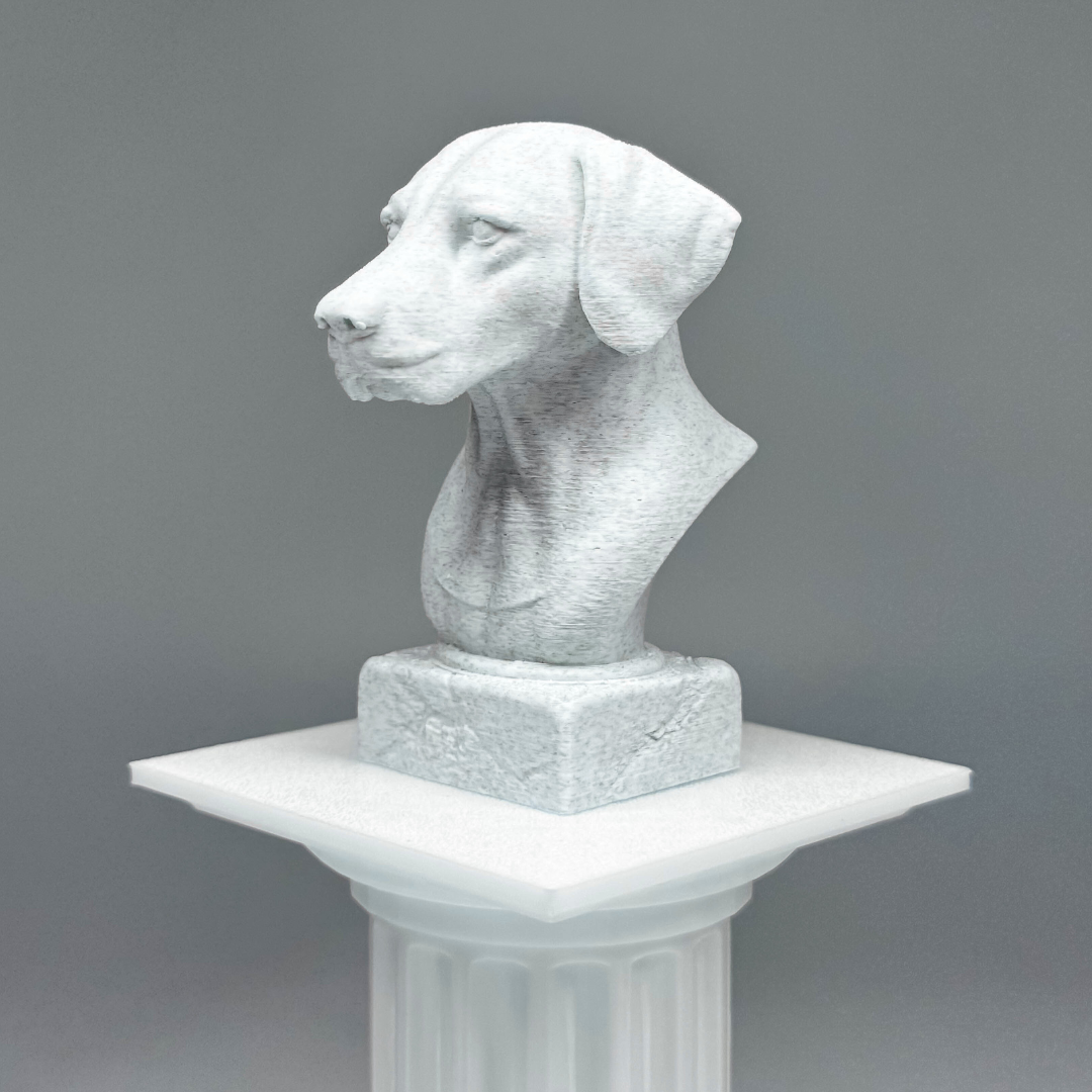 Dalmatian Bust