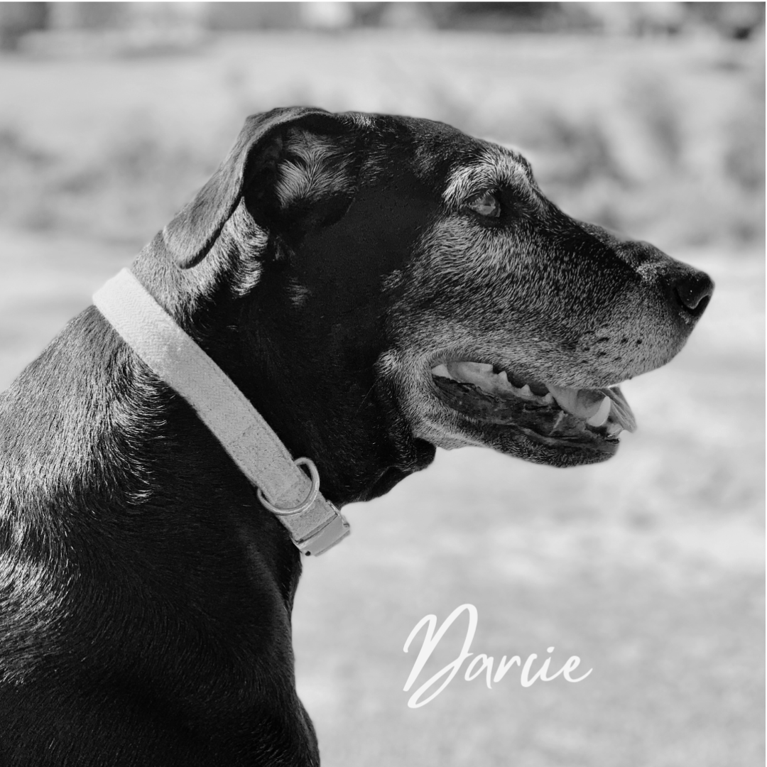 Custom Christmas Lithophane Ornament (2025)