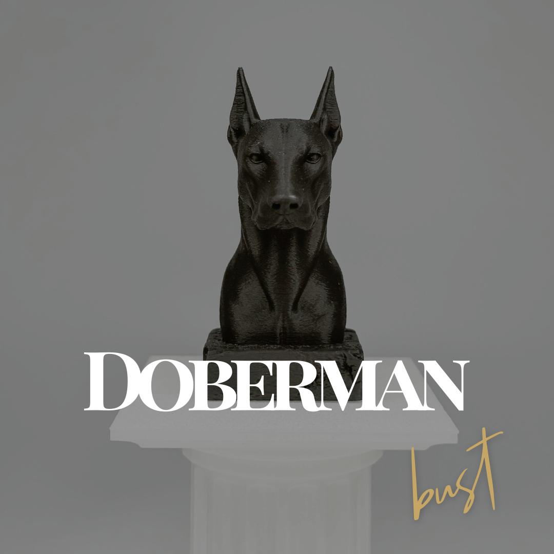 Doberman Bust
