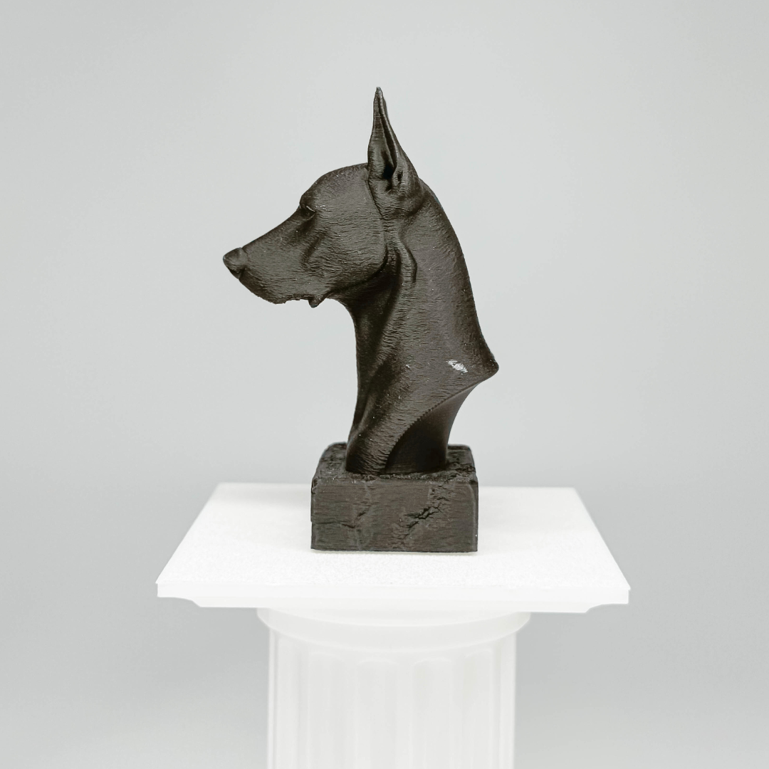 Doberman Bust