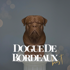 Dogue De Bordeaux Bust