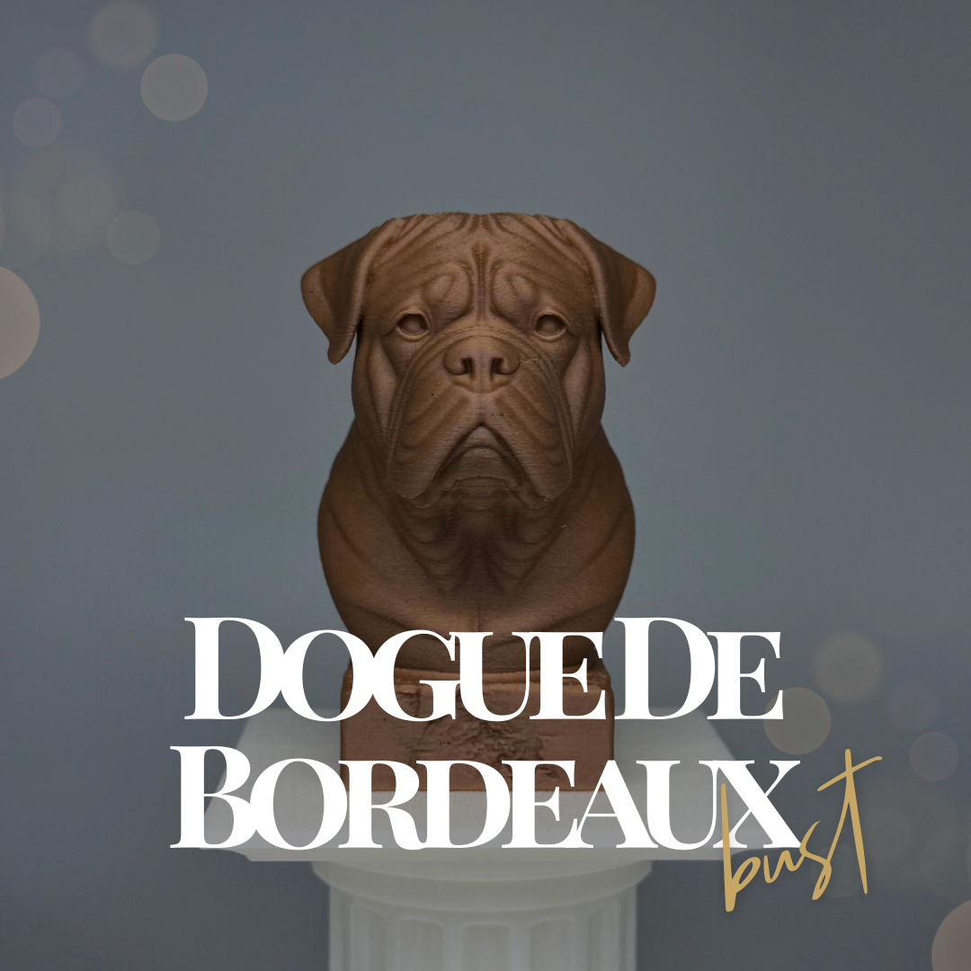 Dogue De Bordeaux Bust