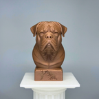 Dogue De Bordeaux Bust