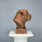 Dogue De Bordeaux Bust
