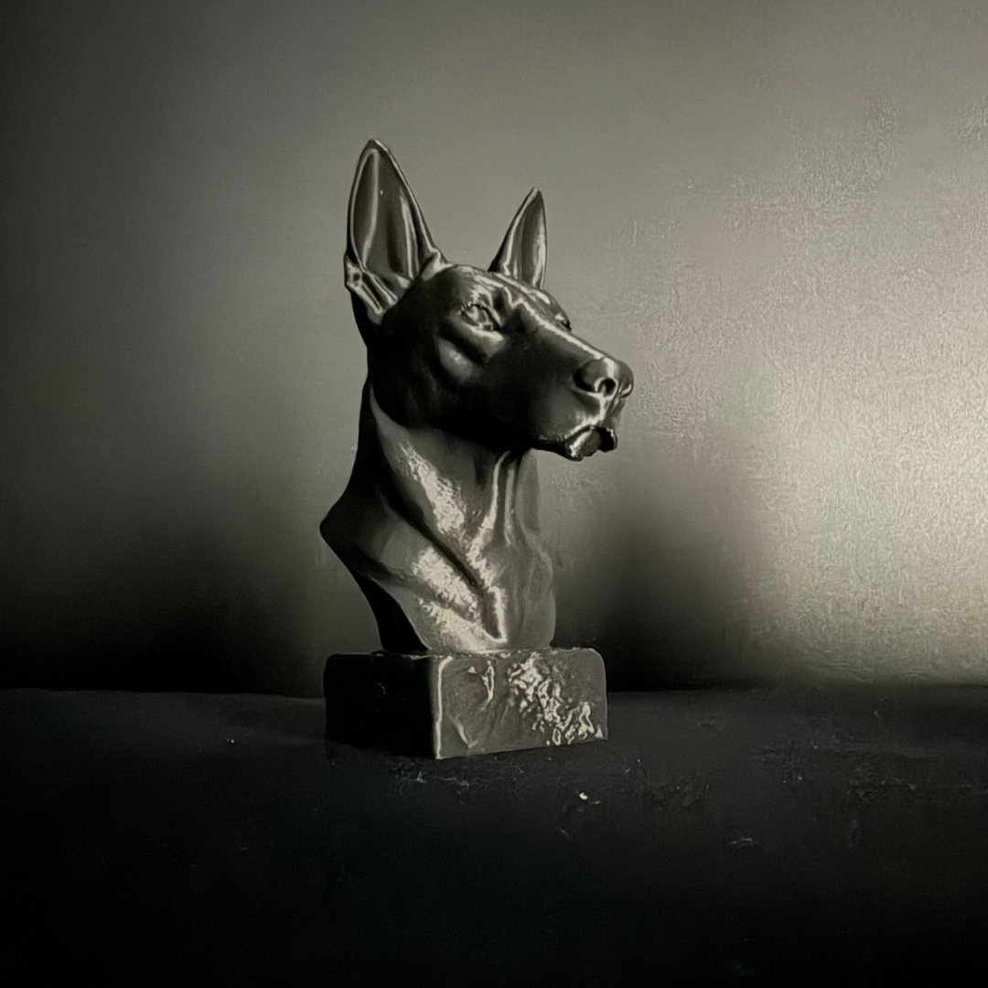 Dutch Shepherd Bust II